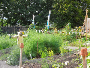 Ford Park Local Food Project