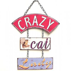 Crazy Cat Lady Sign Metal Wall Art Saying Phrase Cat Lover *34cm*