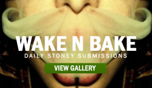 Stoners Union Daily Submissions