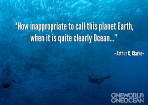 Found on oneworldoneocean.com