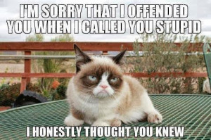 File:Grumpy cat quote.jpg