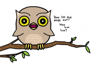 cute, drawing, funny, hoot, owl, quote, typography