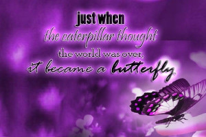 We delight in the beauty of the butterfly, but rarely admit the ...