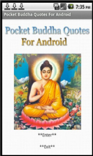 View bigger - Pocket Buddha Quotes for Android screenshot