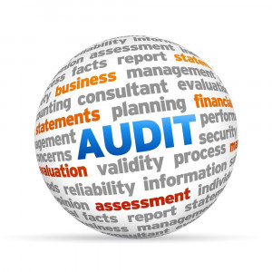 Project & Programme Audits