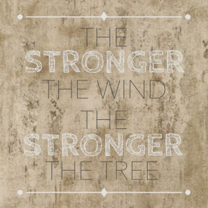 The stronger the wind, the stronger the tree. | Kaylie Marie