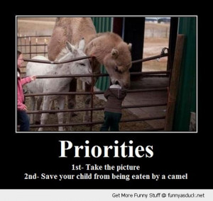 Priorities Funny #2 Priorities Funny #3 Priorities Funny #4 Priorities ...