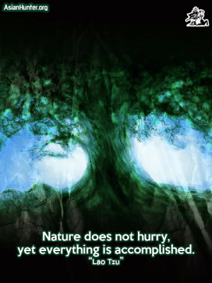 Lao Tzu quotes on Asian Hunter, nature does not hurry, yet everything ...