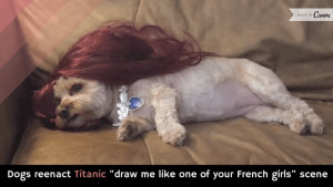 Dogs reenact Titanic “draw me like one of your French girls” scene ...