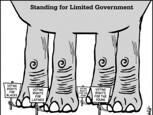Limited Government Pictures