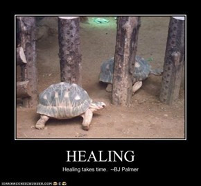 HEALING Healing takes time. LOL I tell ppl that I knew it would take ...