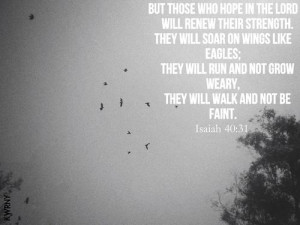 Bible Verses About Hope: 21 Scriptures to Anchor the Soul | Stoke My ...