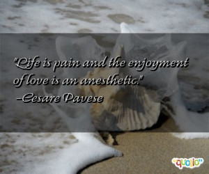 Life is pain and the enjoyment of