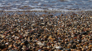 wet-pebbles-1920x1080-beach-background-60-3122499609.jpg