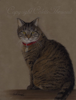 ... Of Brown Tabby Cat Pastel Drawing Pet Portraitist Colette picture