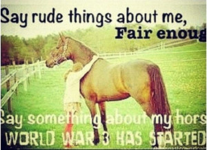 barrel racing quotes images | Barrel Racing Quotes /