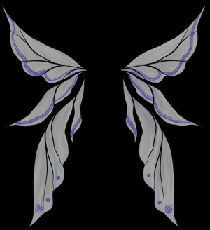 Colored Fairy Wings Drawings