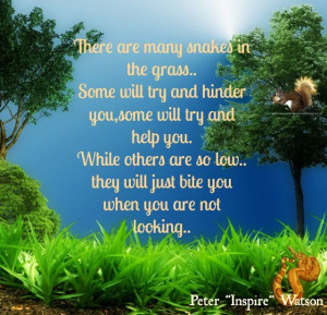 quotes about snake in the grass | there are many snakes in the grass