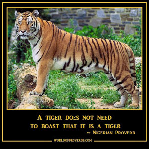 Tiger Quotes And Sayings A tiger does not have to