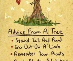 Tree Quotes About Life