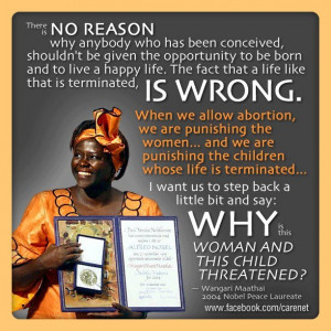 quote by Wangari Maathai, 2004 Noble Peace Laureate