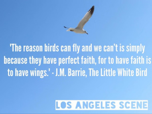 Inspirational Quote – J.M. Barrie, The Little White Bird