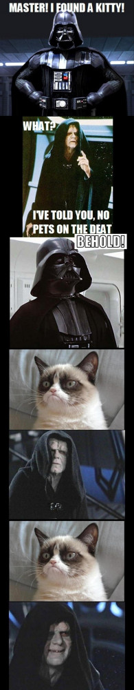 May The Fourth Be With You – 30 Funny Star Wars Pics