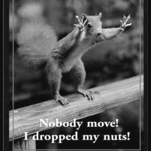 Found on Uploaded by user