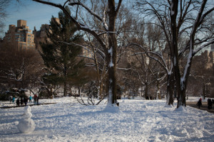 Central Park Snow Storm One
