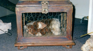 gizmo from gremlins Somethin' Lyrics