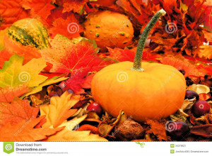 Fall Pictures With Pumpkins And Leaves Autumn pumpkin among colorful