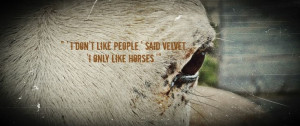... said Velvet. 'I only like horses.'