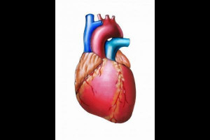 Cardiac Arrhythmia Symptoms