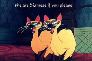 Lady and the Tramp. ;)