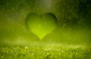 rain on green grass Rainy Quotations and Wallpapers