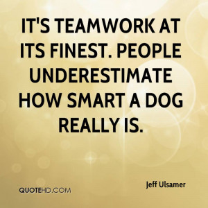 It’s Teamwork At Its Finest. People Underestimate How Smart A Dog ...