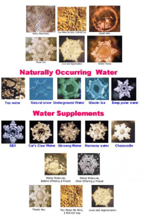 masaru emoto s water crystal experiments consist of exposing a water ...