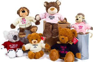 Teddy Bears and Soft Toys Wanted!
