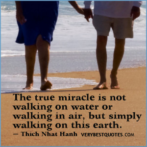 miracle is not walking on water or walking in air, but simply walking ...