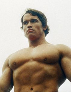 Arnold Schwarzenegger photograph by Andy Warhol. More