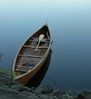 Risk Averse or Change Averse?