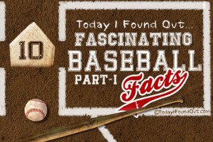 45 funny minor league baseball team names minor league baseball