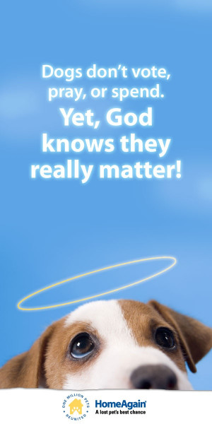 dogs quotes god pin dogs luv dogs jack russell terrier quotes dog ...