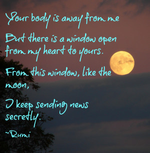 We share a love of Rumi's words, the Not Boyfriend and I. Sometimes ...
