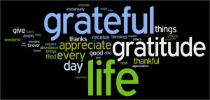 ... : 15 Quotes to Make Gratitude a Habit Everyday (Plus a Video