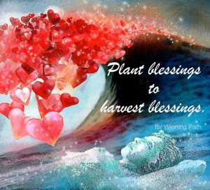 Plant blessings to harvest blessings