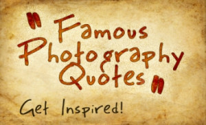 Hand Picked Best Quotes About Photography