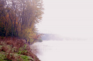 ... -landscape-autumn-morning-mist-autumn_into_the_mist.jpg