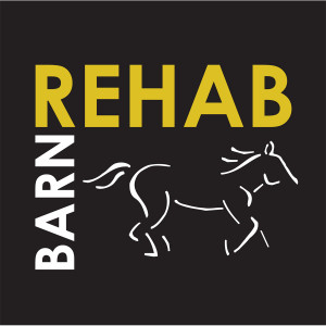 Horse Humor Tee Shirt, Barn Rehab