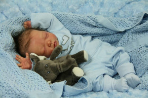 Reborns Babies Reborn Com For A Shipping Quote I Will Ship Overseas